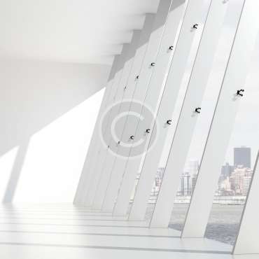 Media & Campaign Planning